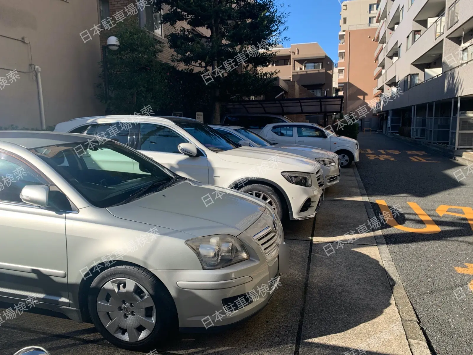 新宿区西早稲田2丁目　月極駐車場