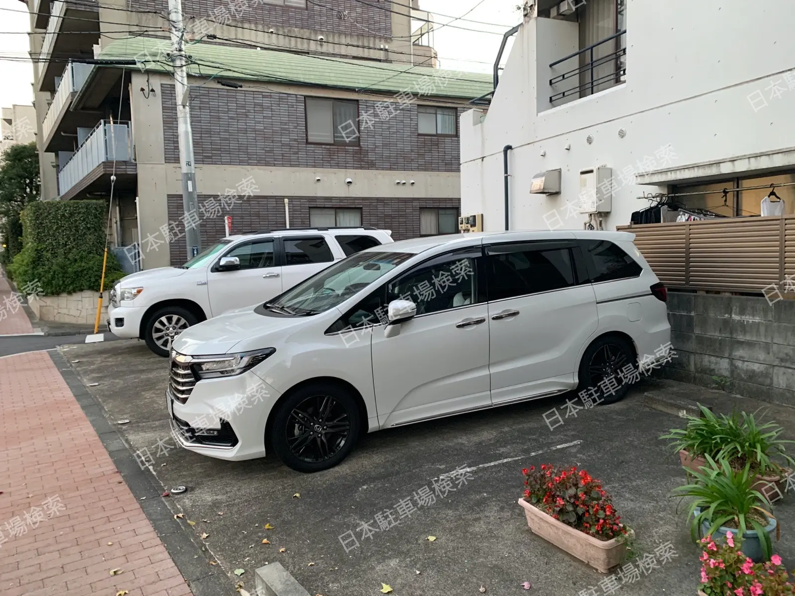 新宿区上落合１丁目　月極駐車場